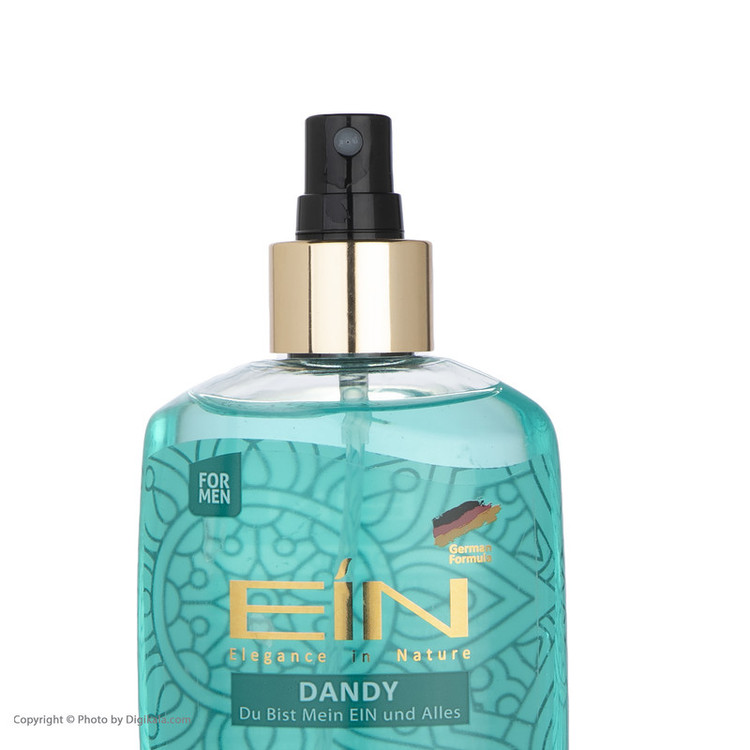 بادی اسپلش مردانه ای آی ان مدل DANDY حجم 250 میلی لیتر