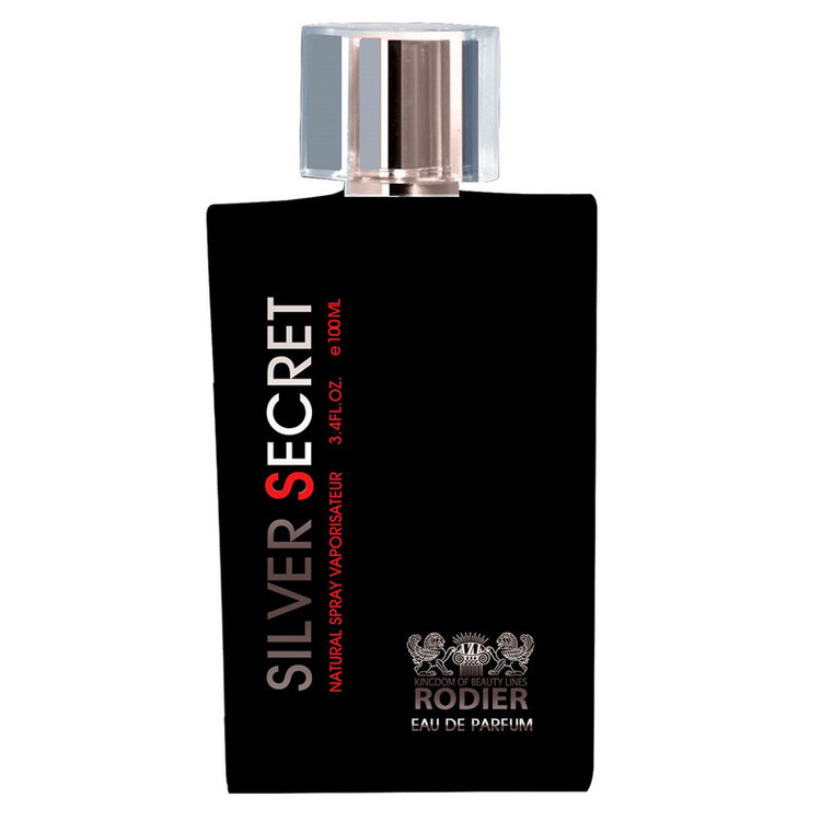 ادکلن مردانه رودیر مدل Silver Secret حجم 100 میلی لیتر