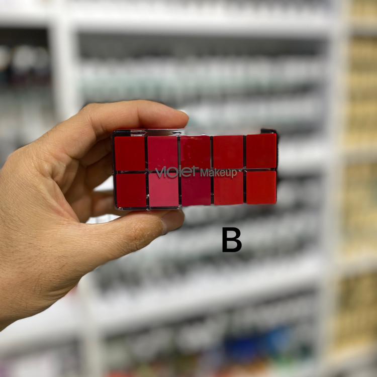 پالت رژ لب 10 رنگ ویولت lipstick palette